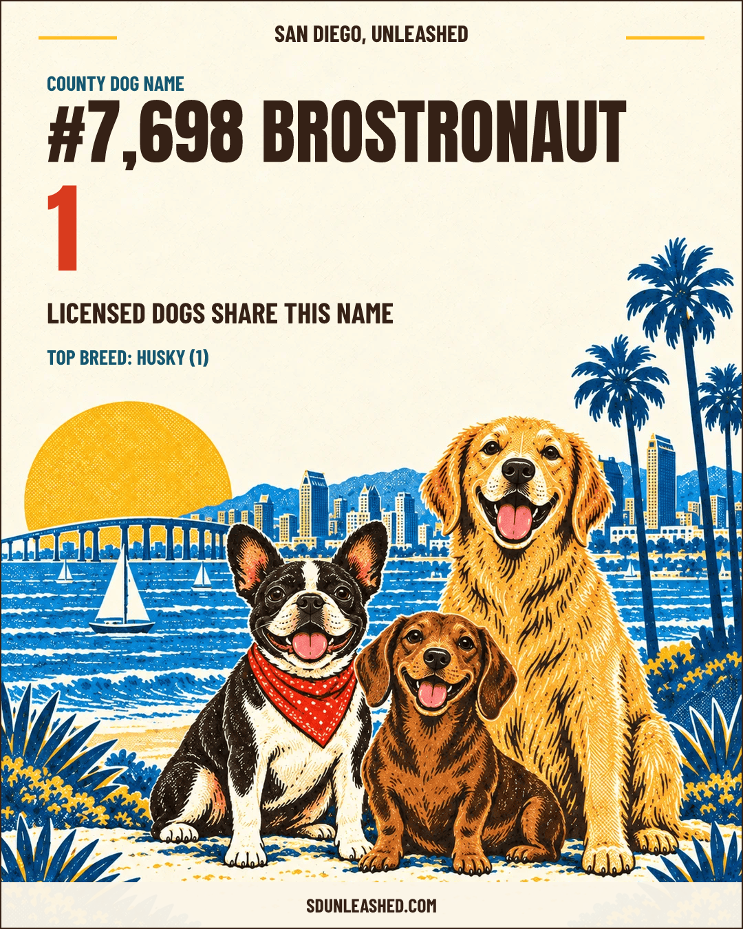 Brostronaut share card