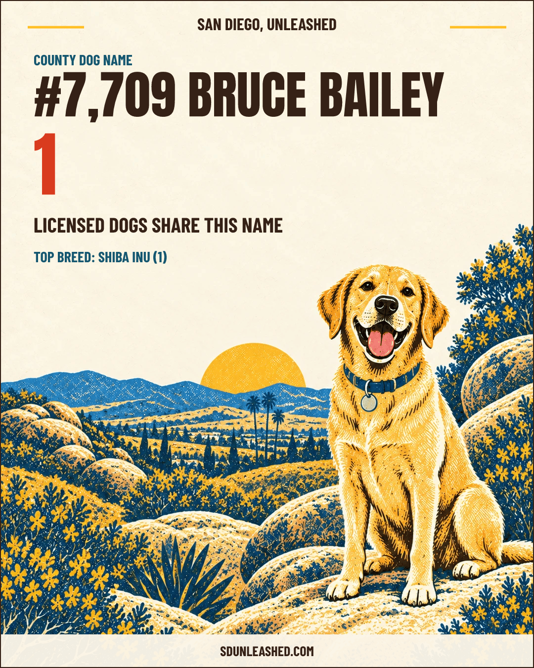 Bruce Bailey share card