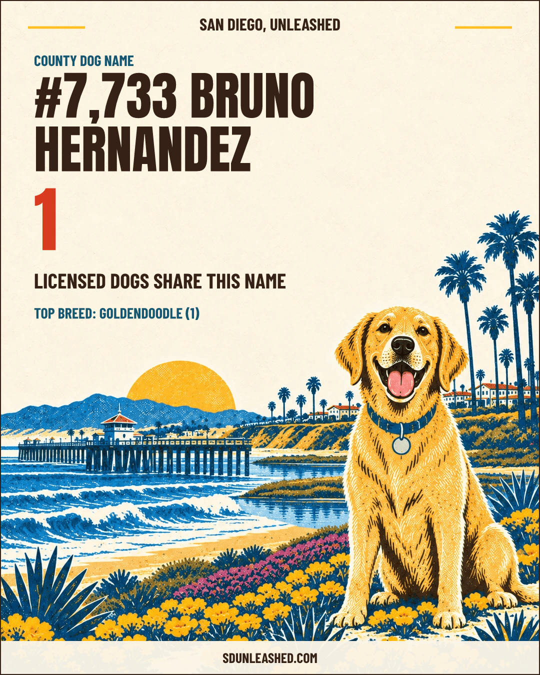 Bruno Hernandez share card