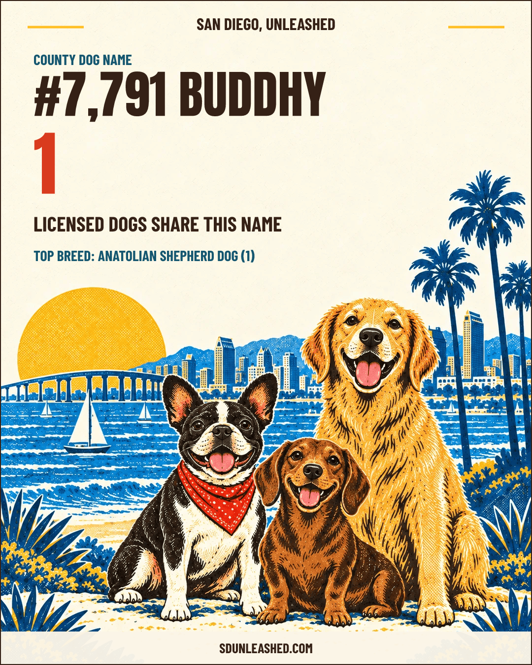 Buddhy share card