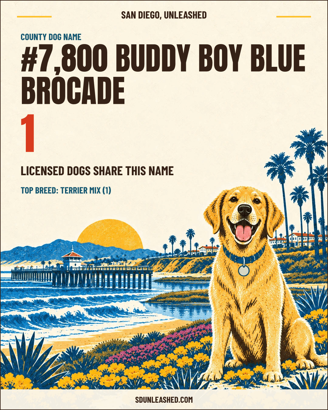 Buddy Boy Blue Brocade share card