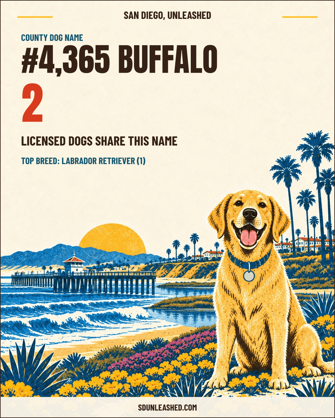 buffalo share card