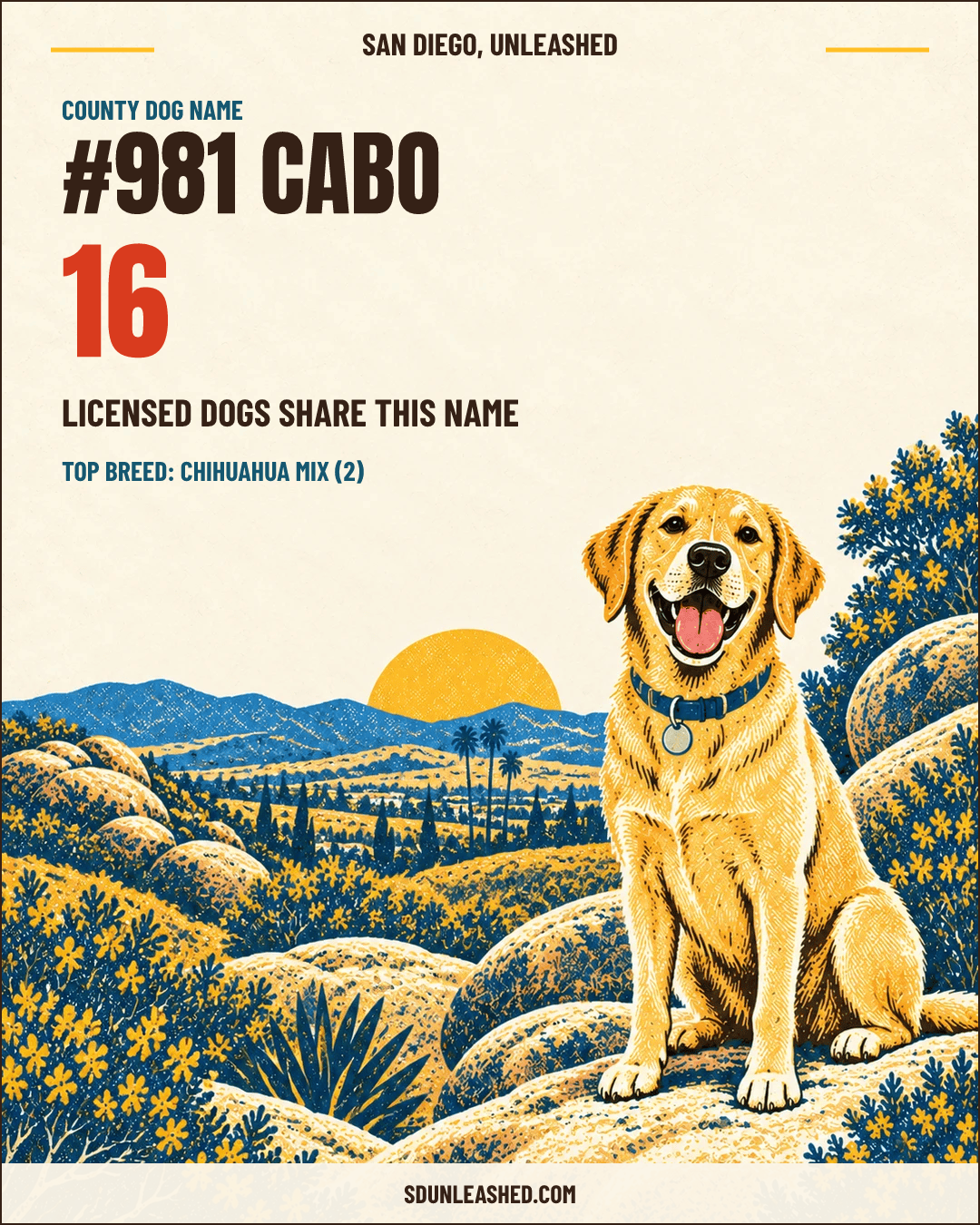 Cabo share card
