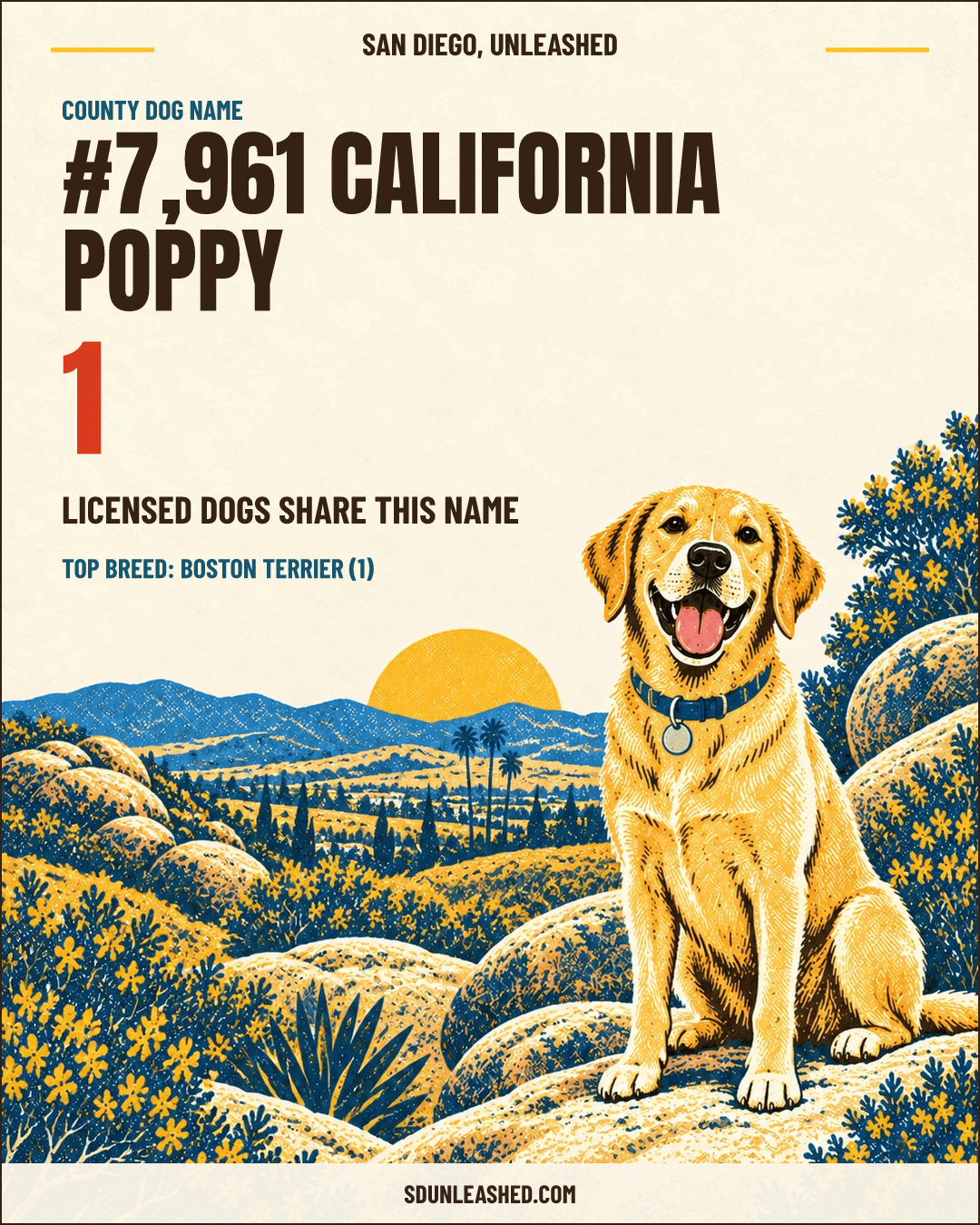 California Poppy share card