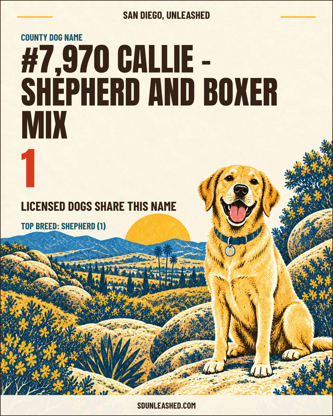 Callie - shepherd and boxer mix share card