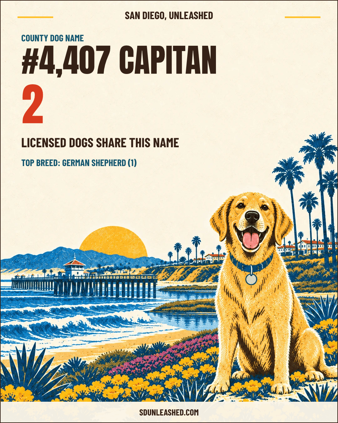 Capitan share card