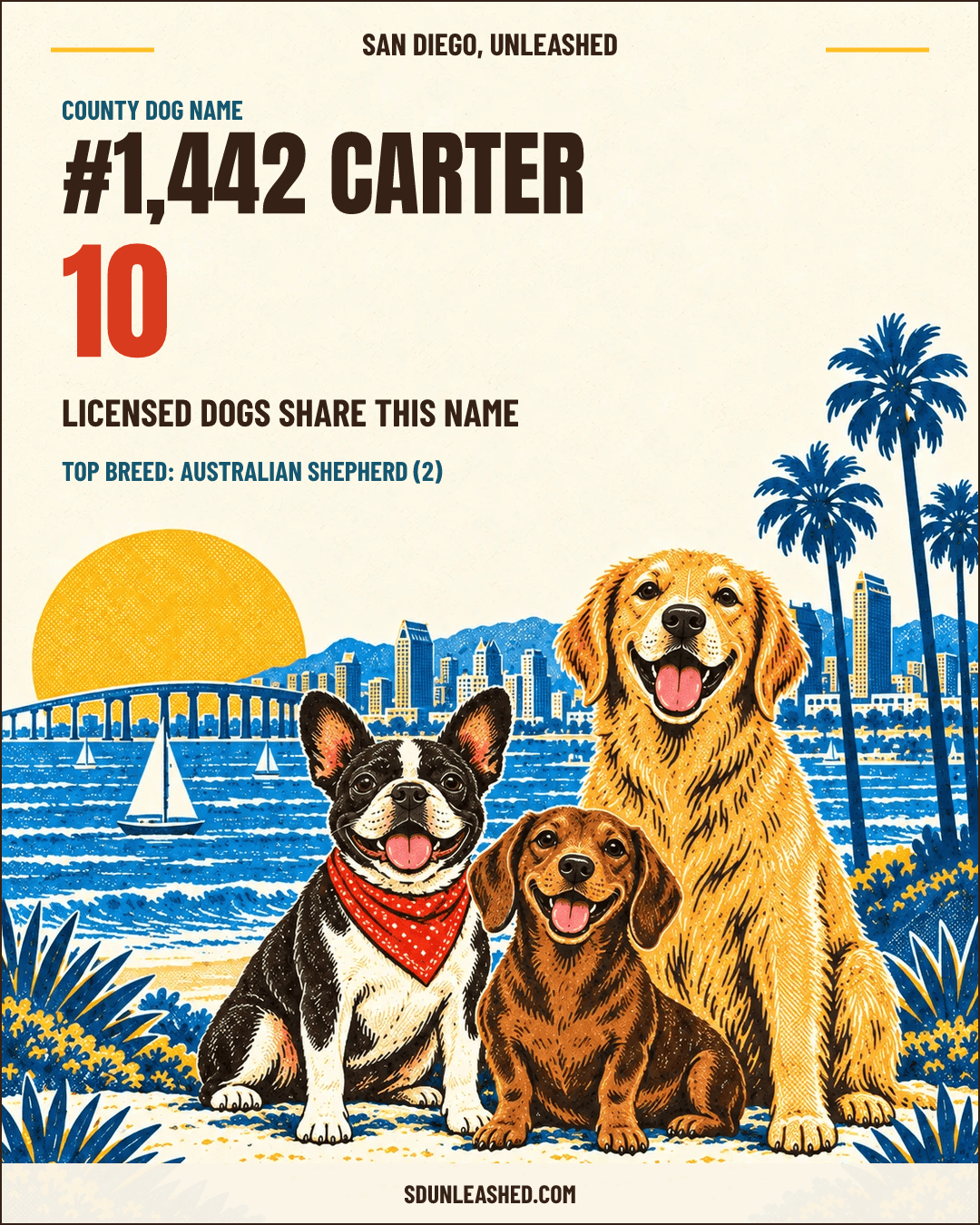 Carter share card