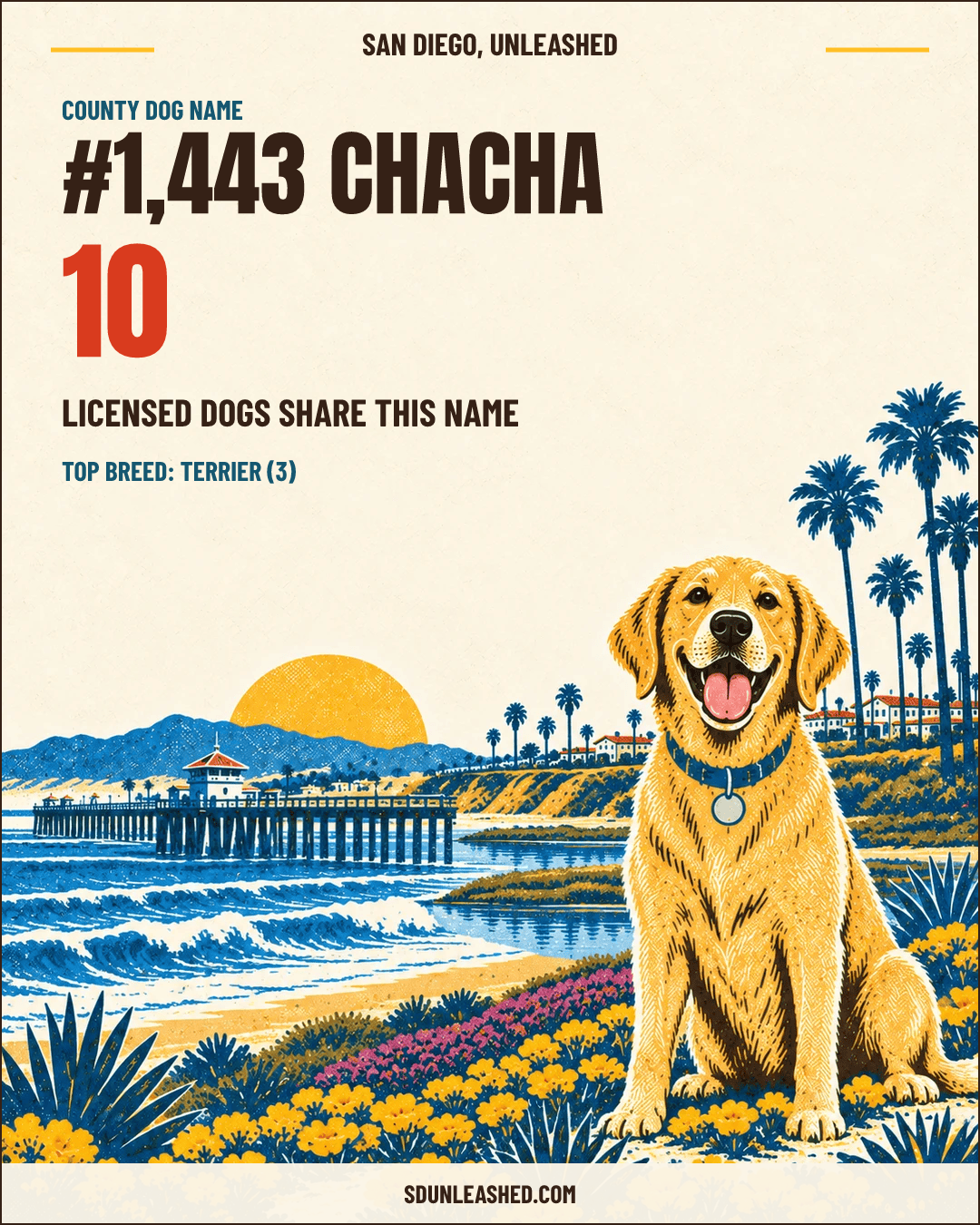 Chacha share card