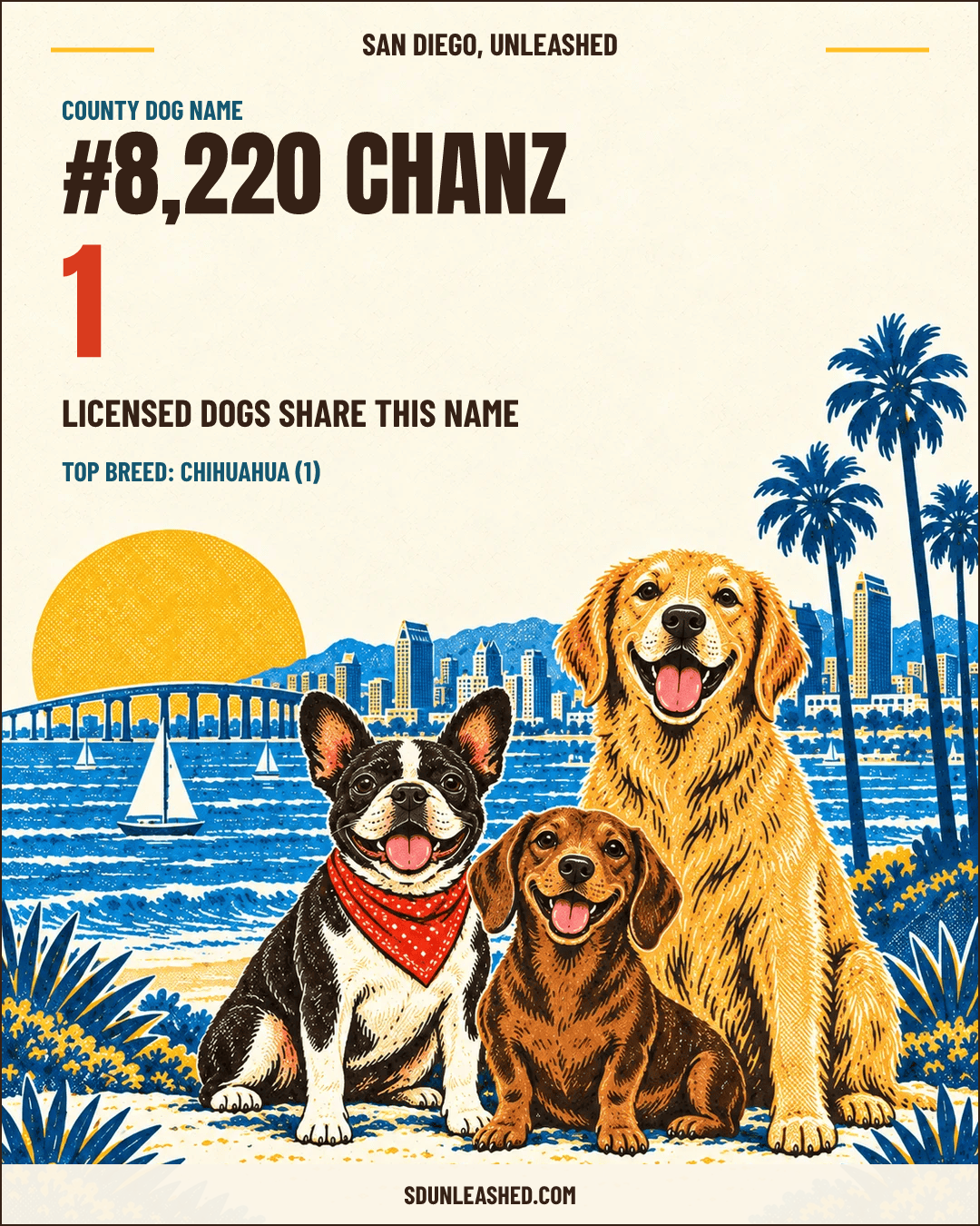 Chanz share card