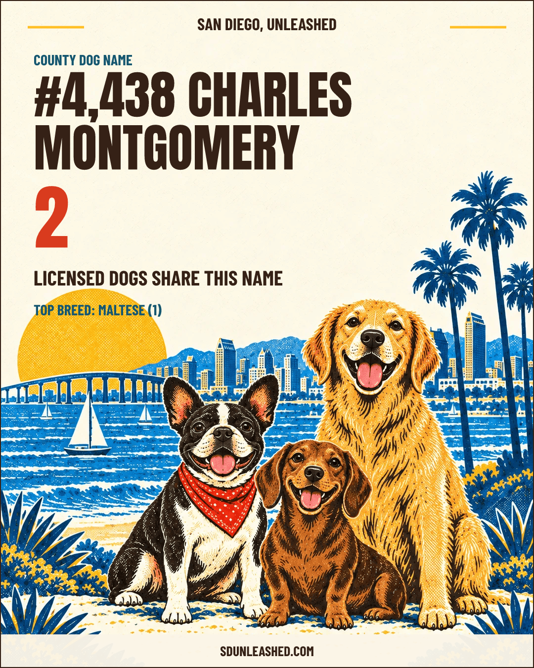 Charles Montgomery share card