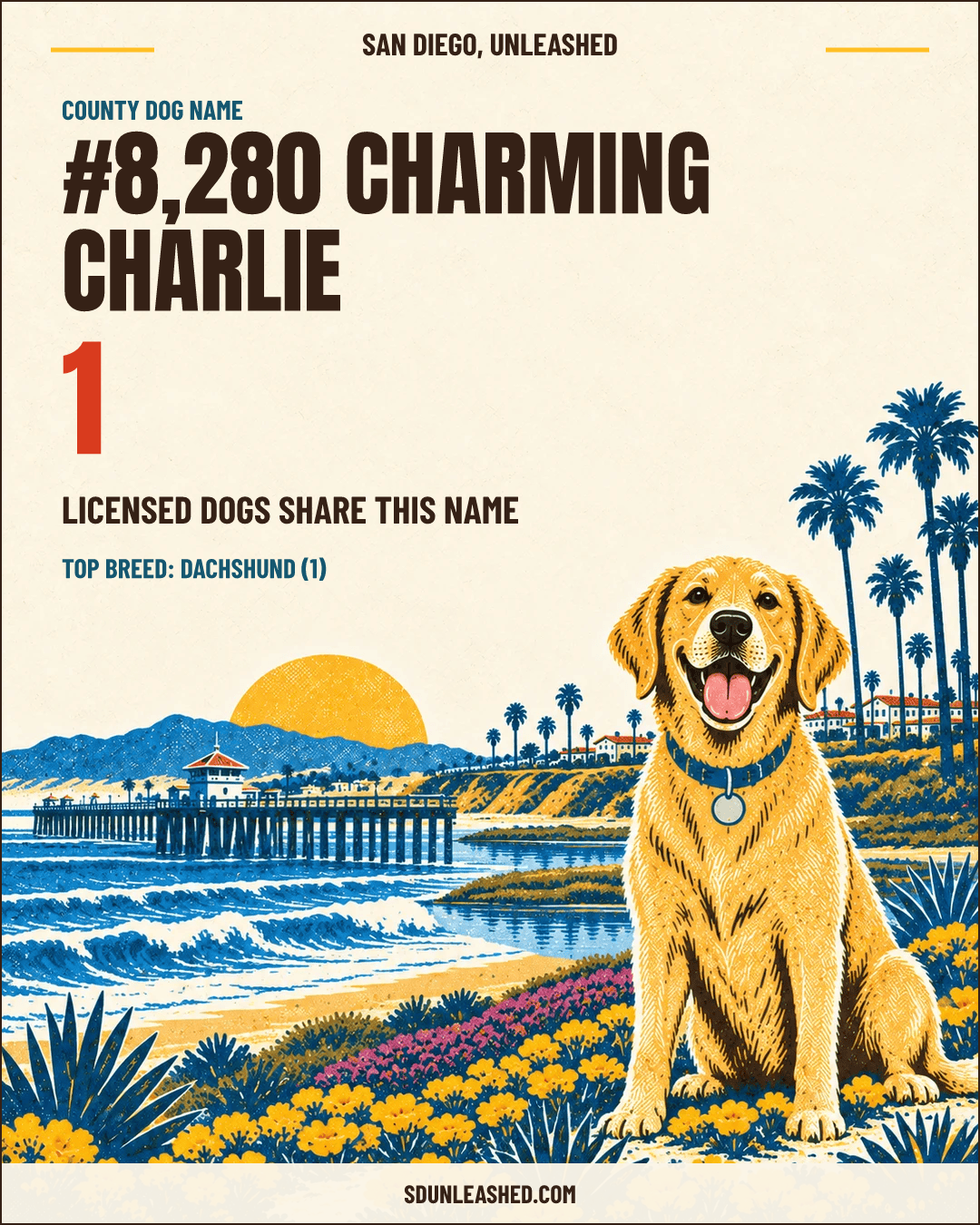 Charming Charlie share card
