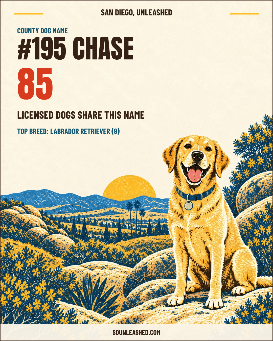 Chase share card