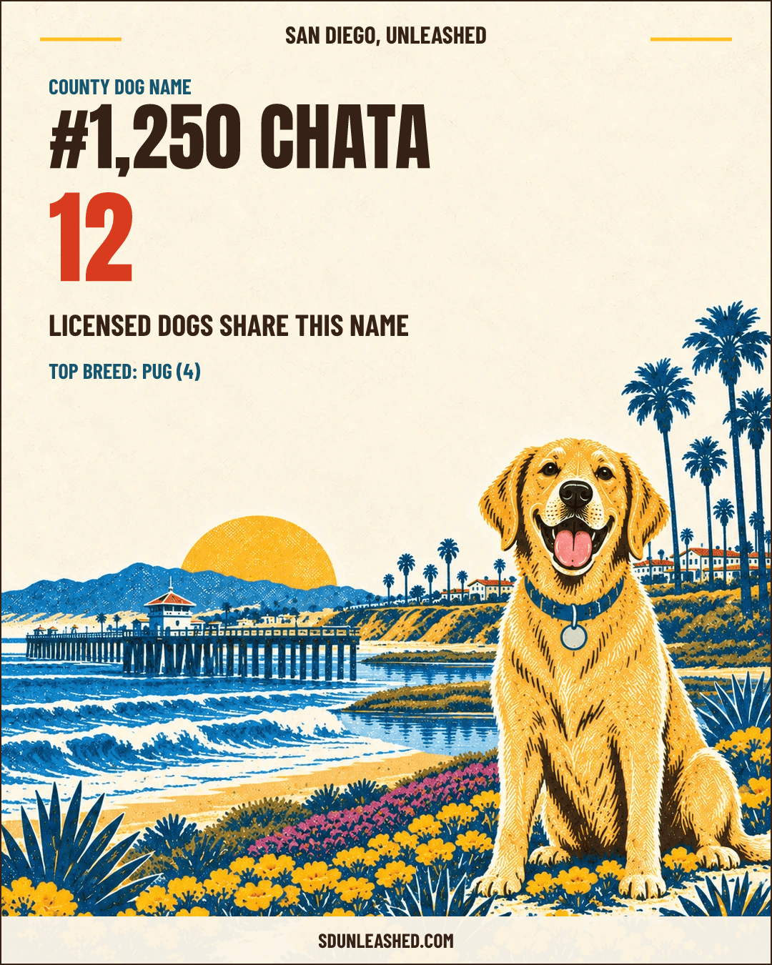 Chata share card