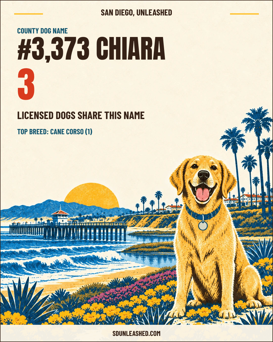 Chiara share card