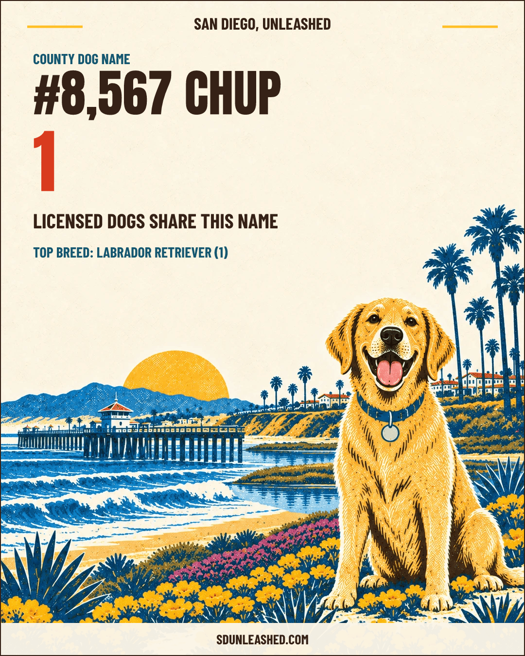 CHUP share card
