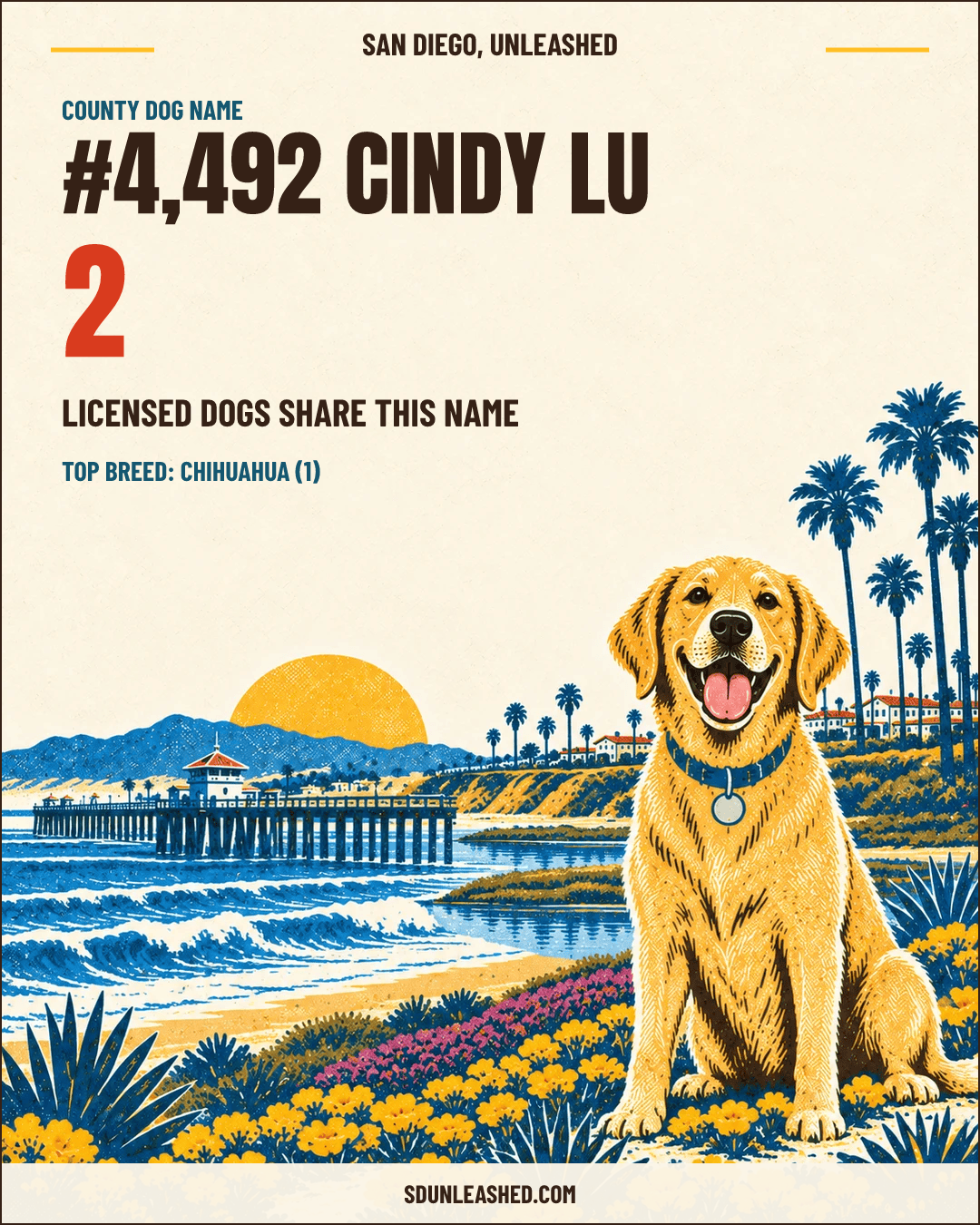 Cindy Lu share card