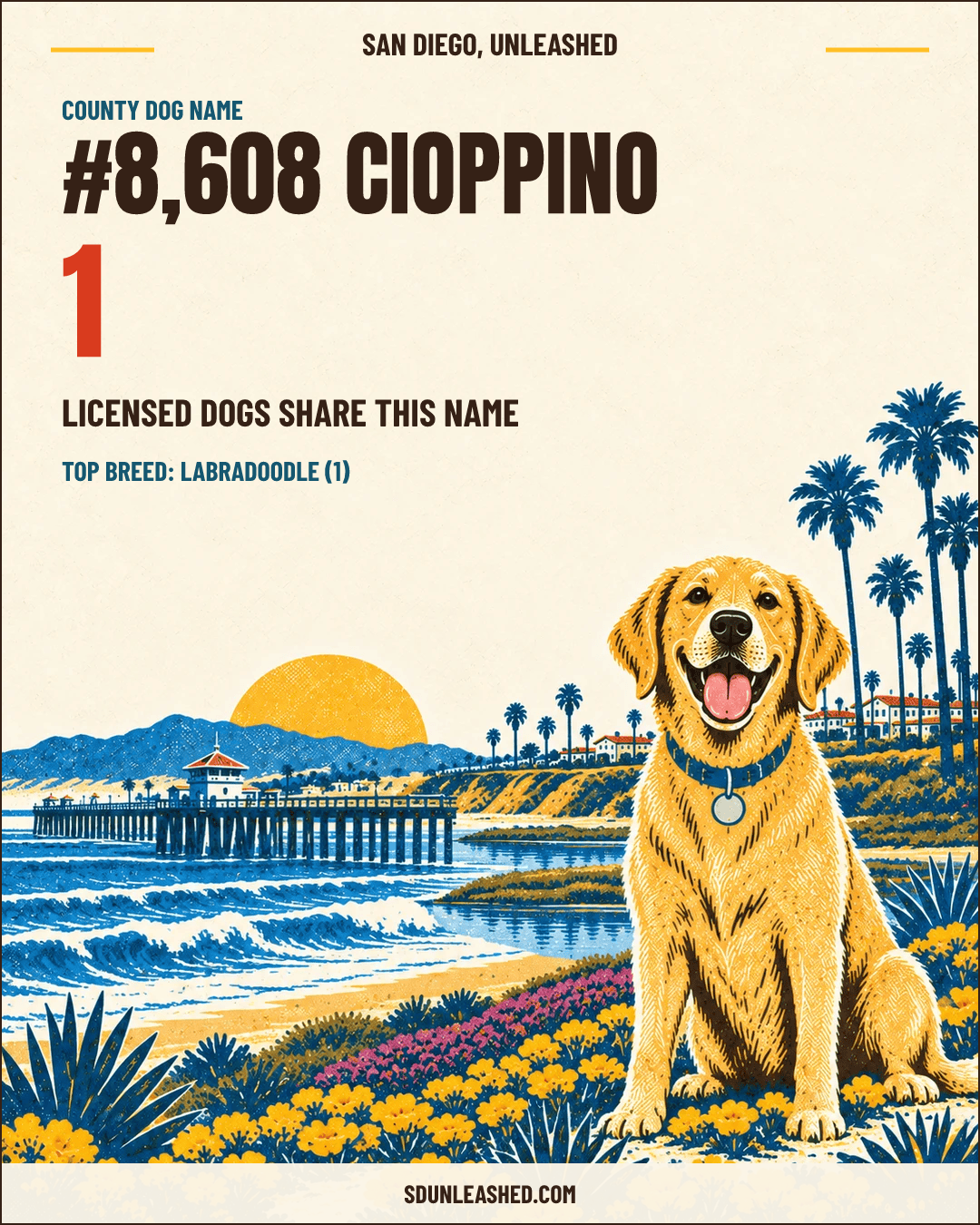 CIOPPINO share card