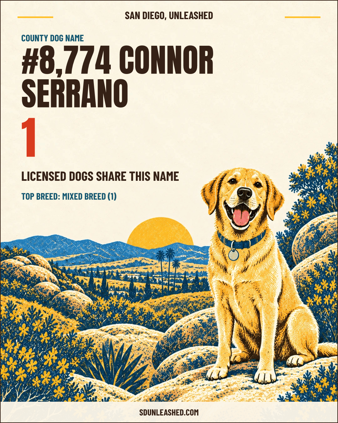 Connor Serrano share card