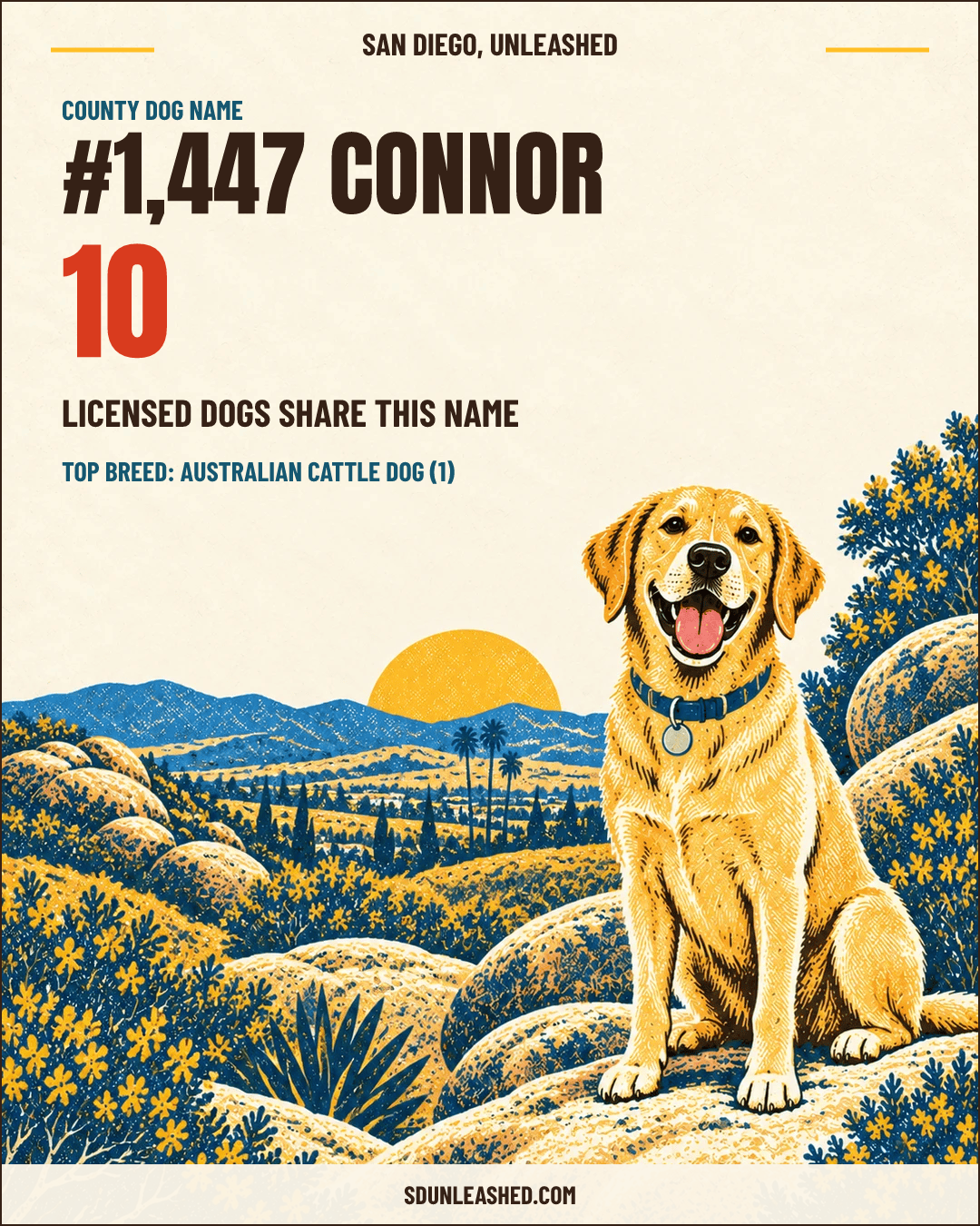Connor share card