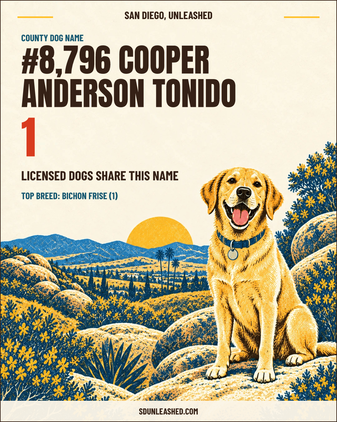 Cooper Anderson Tonido share card