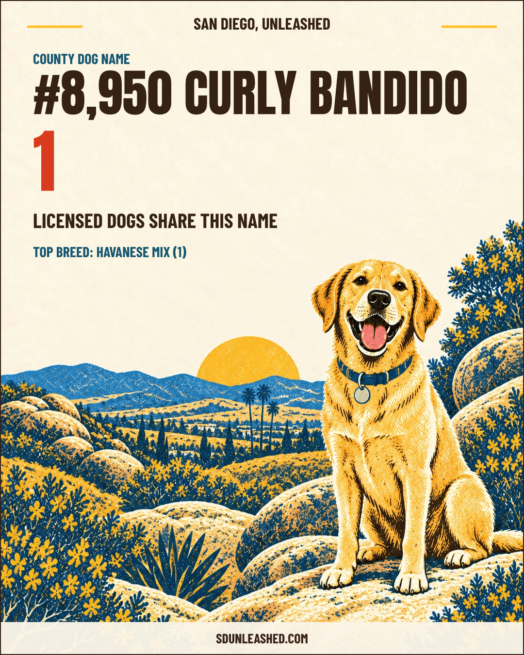 Curly Bandido share card
