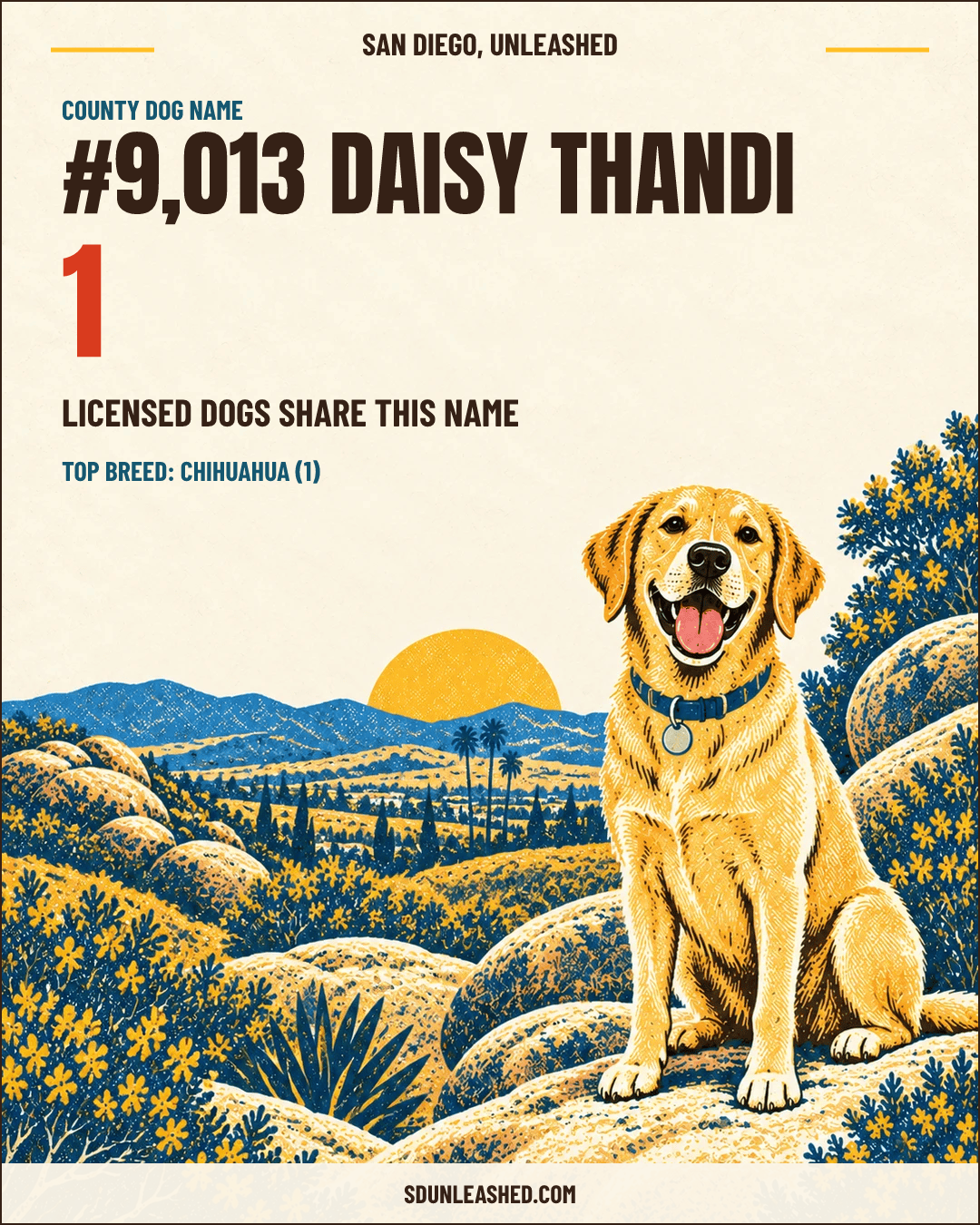 Daisy Thandi share card