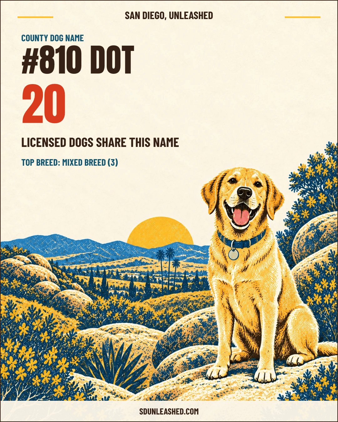 Dot share card