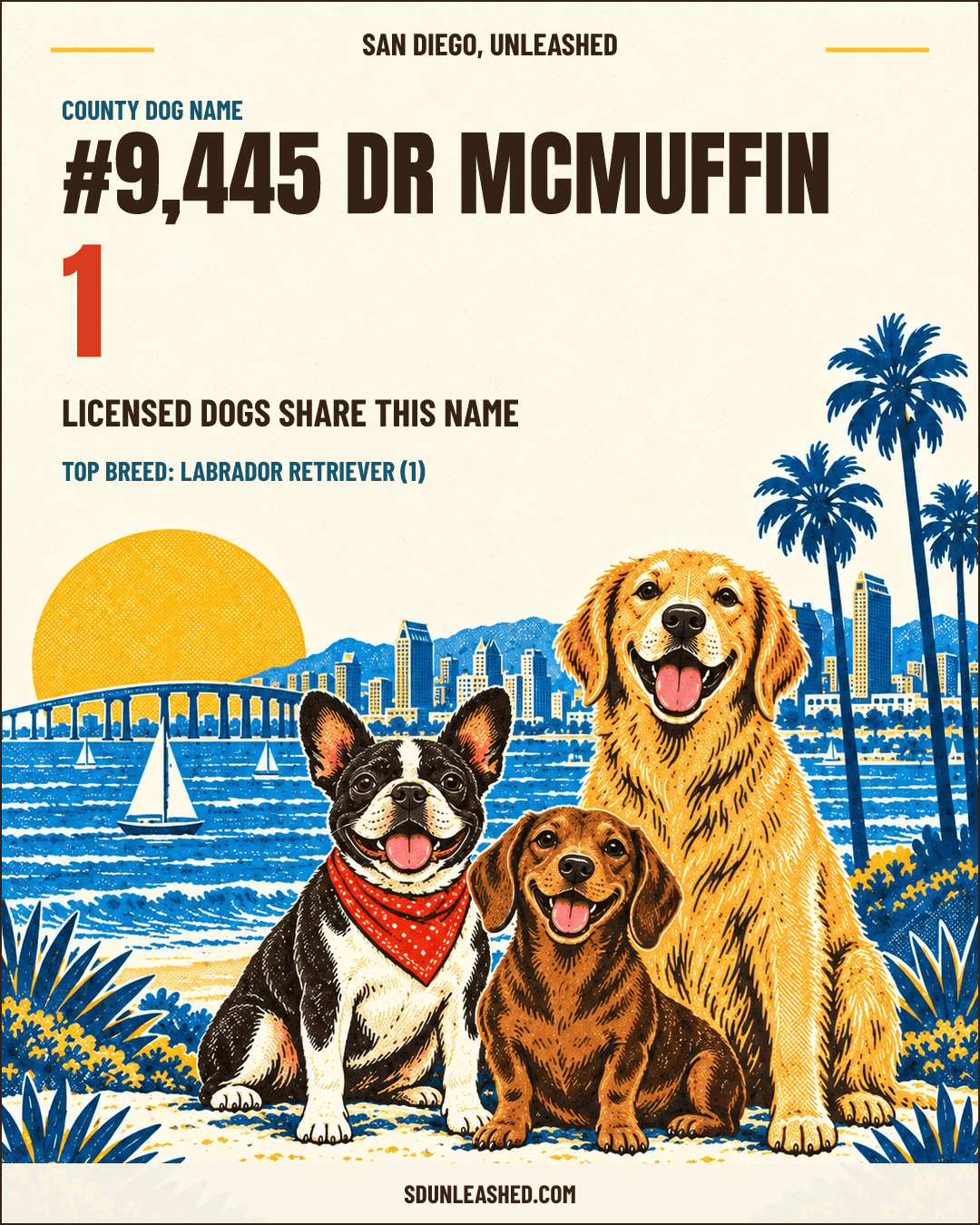Dr McMuffin share card