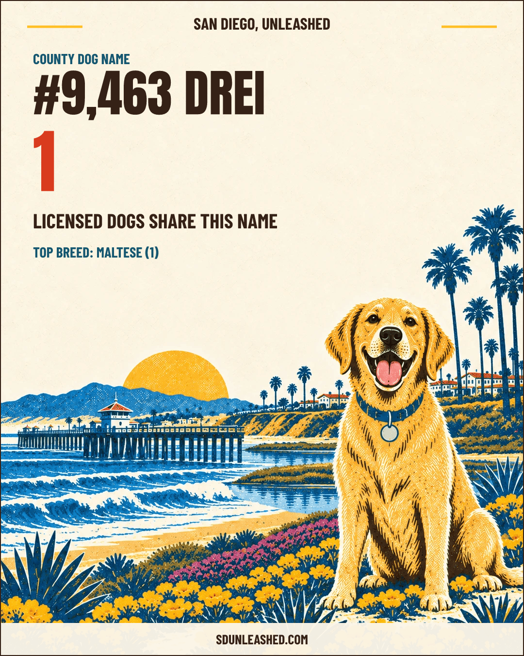 Drei share card