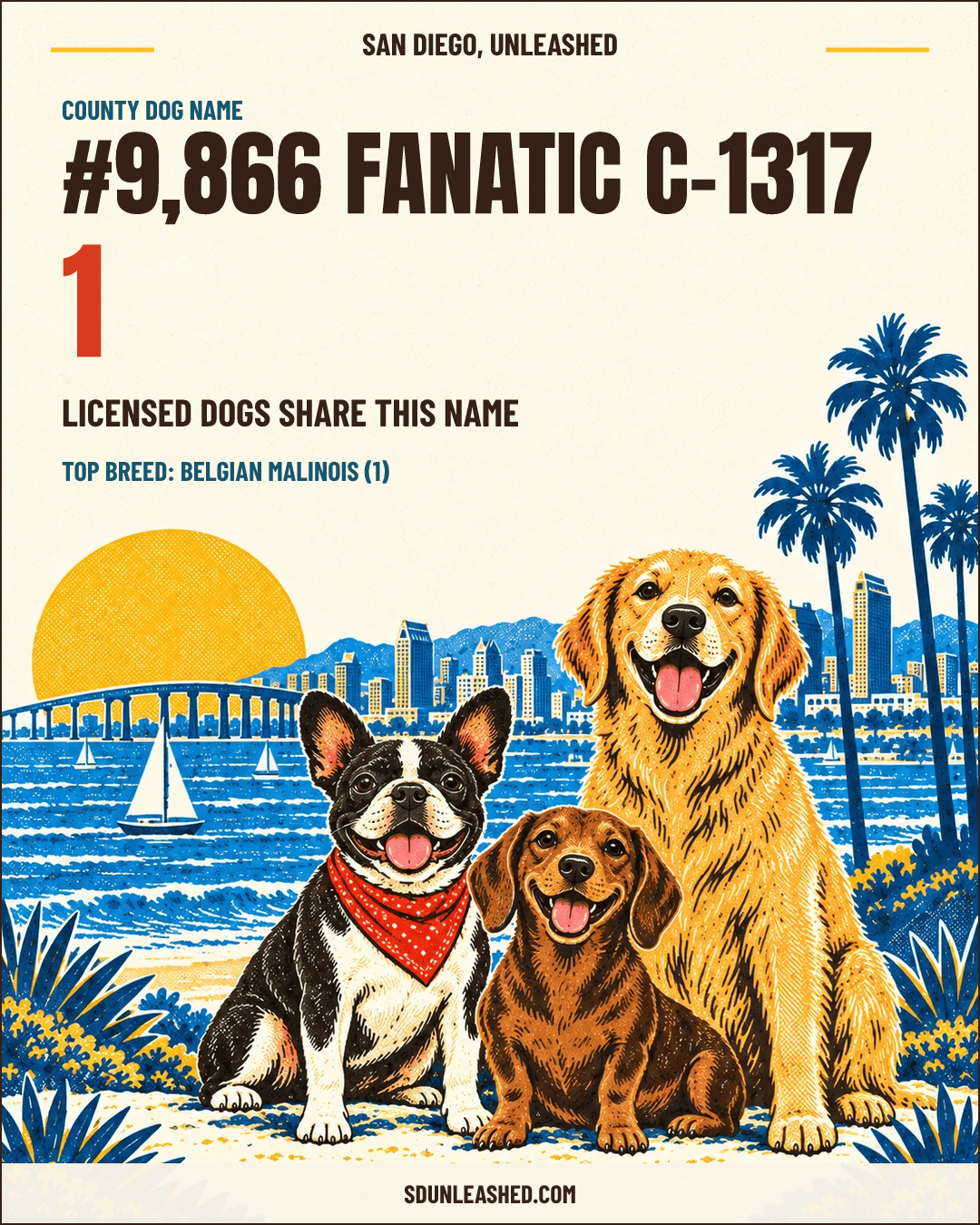Fanatic C-1317 share card