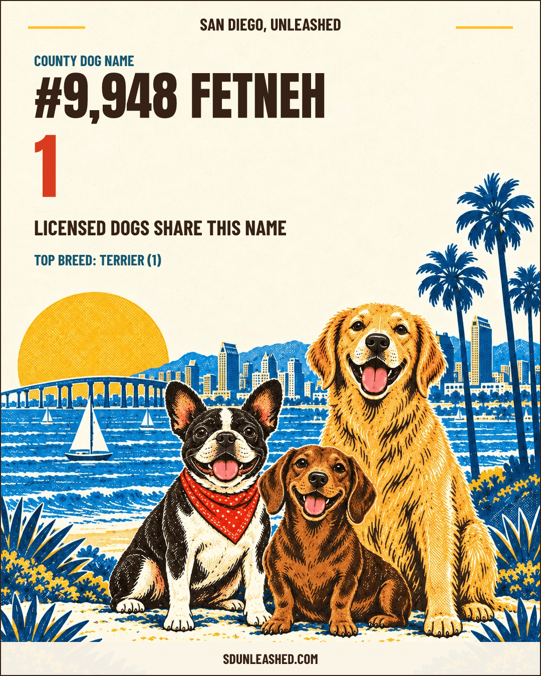 Fetneh share card
