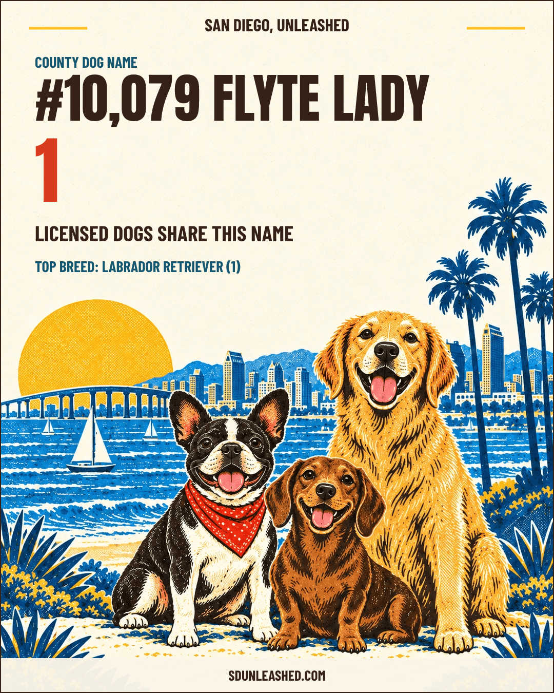 Flyte Lady share card