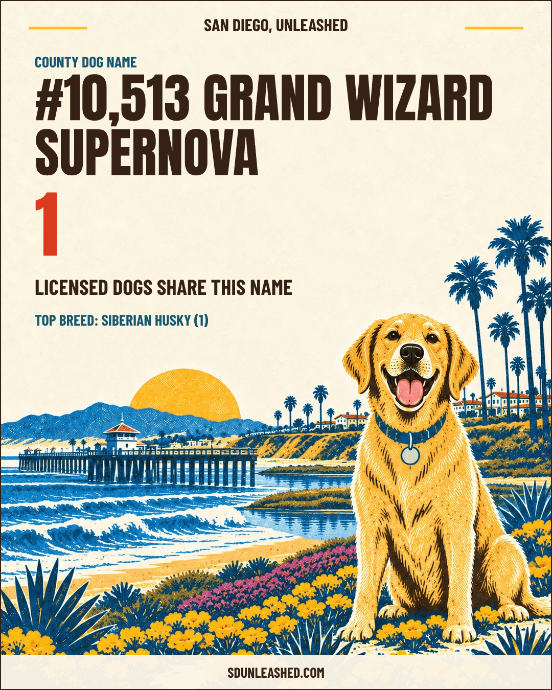 Grand Wizard Supernova share card