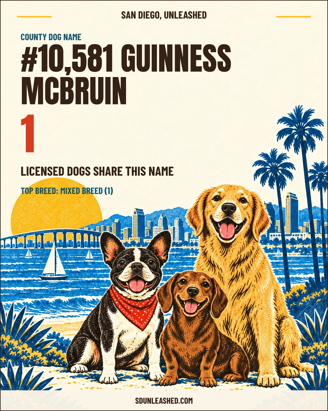Guinness McBruin share card