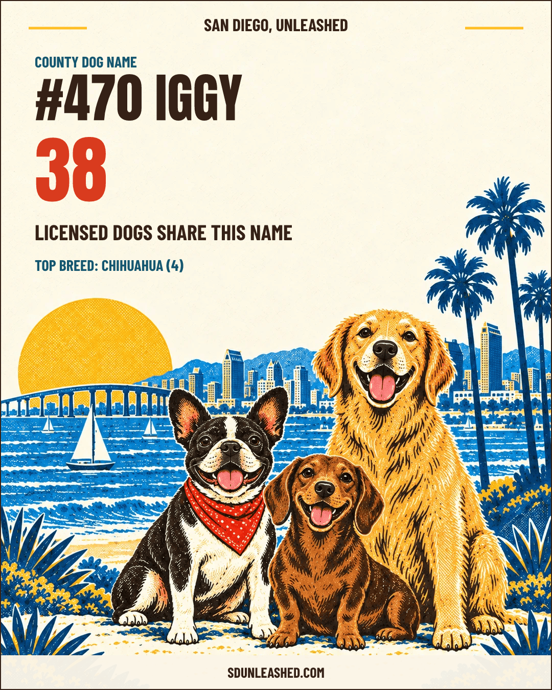 Iggy share card