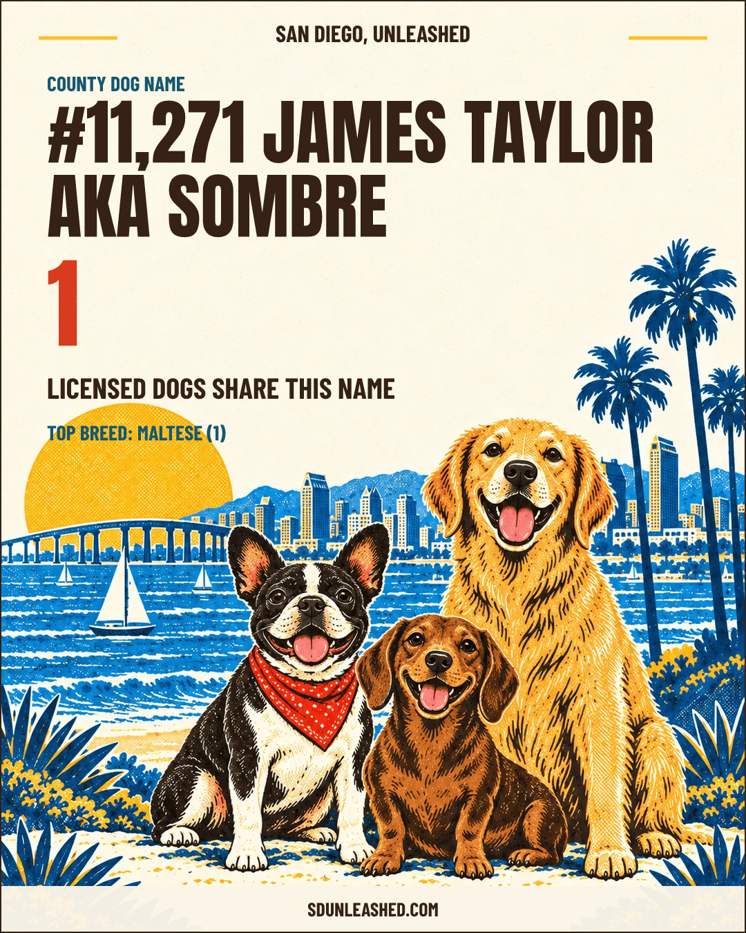 James Taylor aka Sombre share card