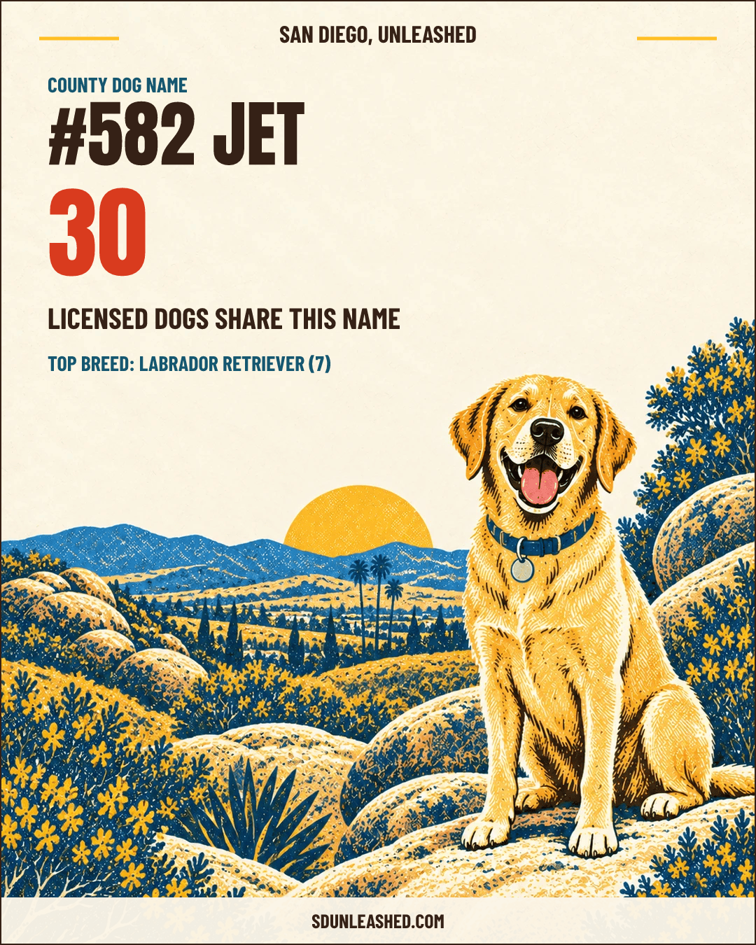 Jet share card