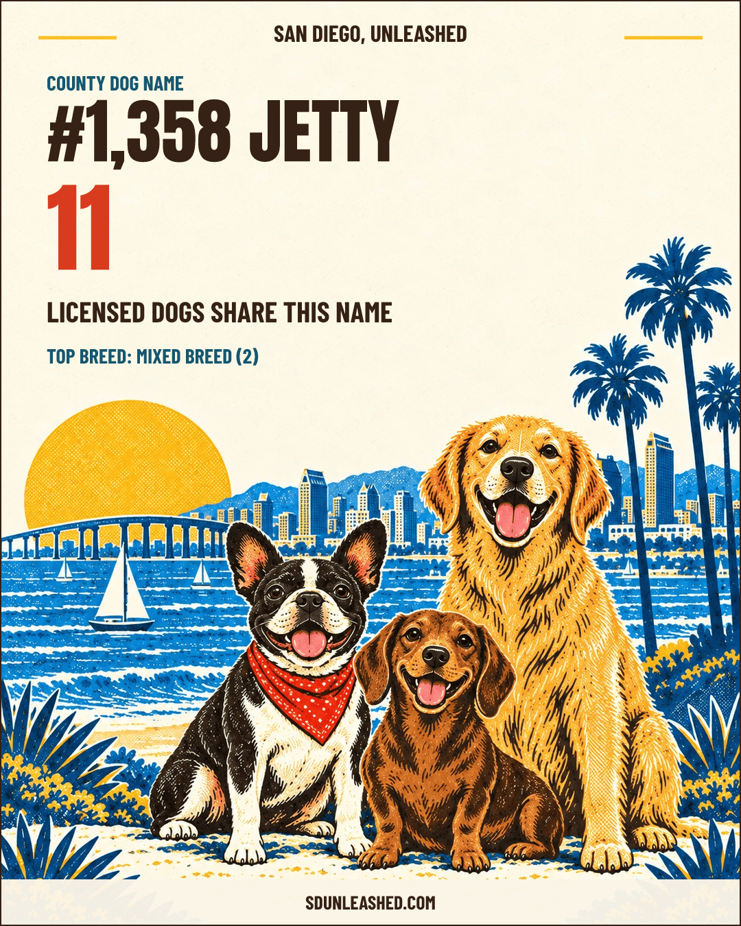Jetty share card
