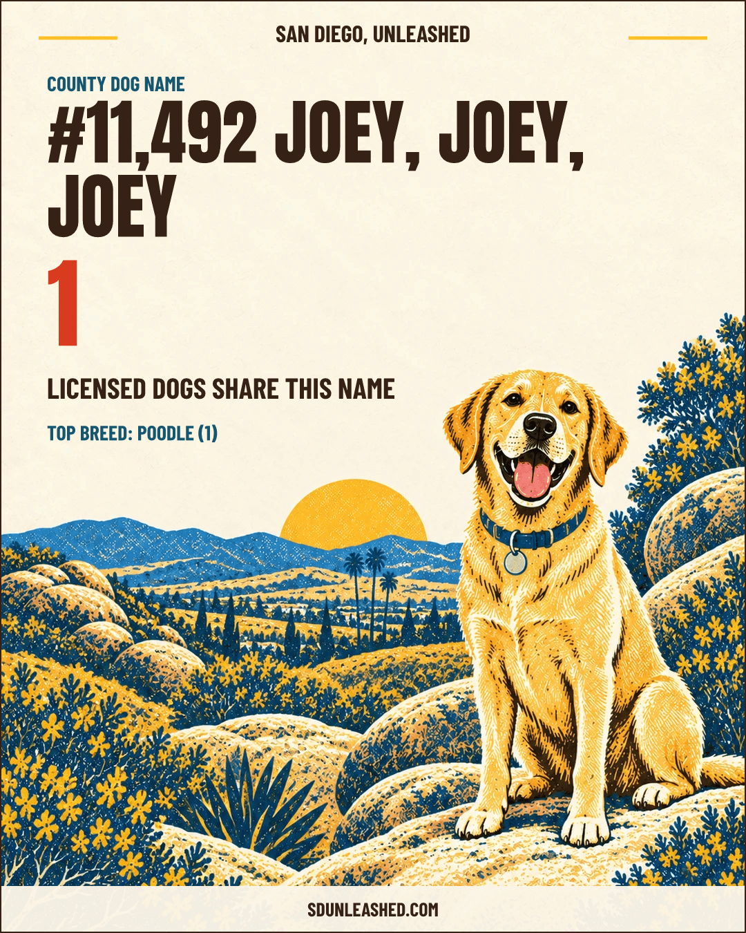 Joey, Joey, Joey share card
