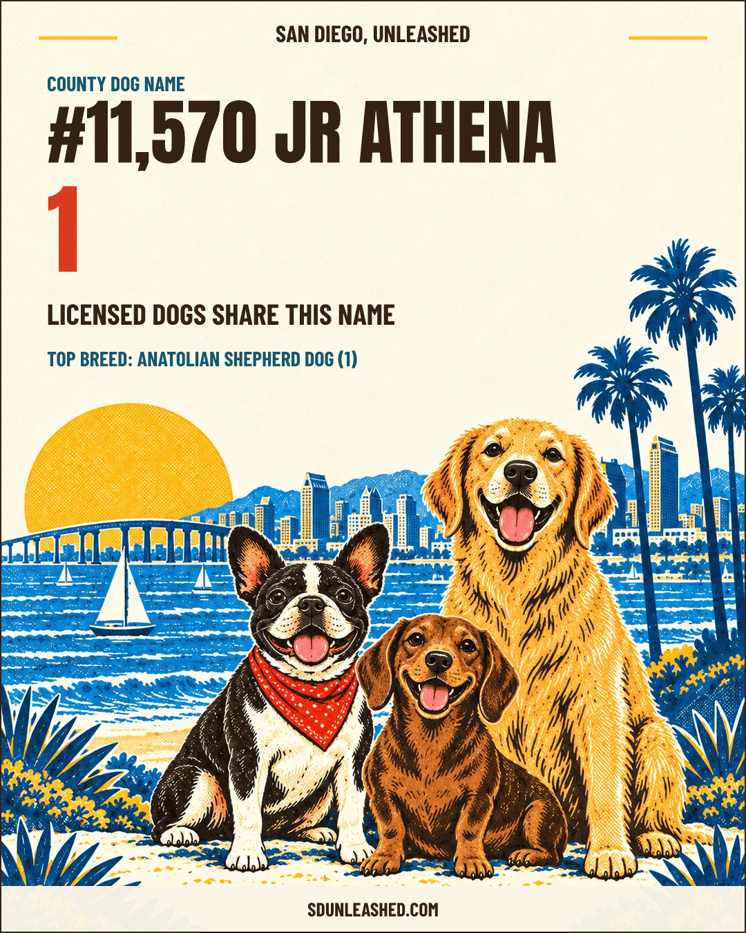 Jr Athena share card