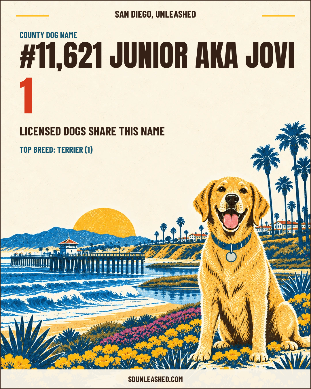 Junior aka Jovi share card