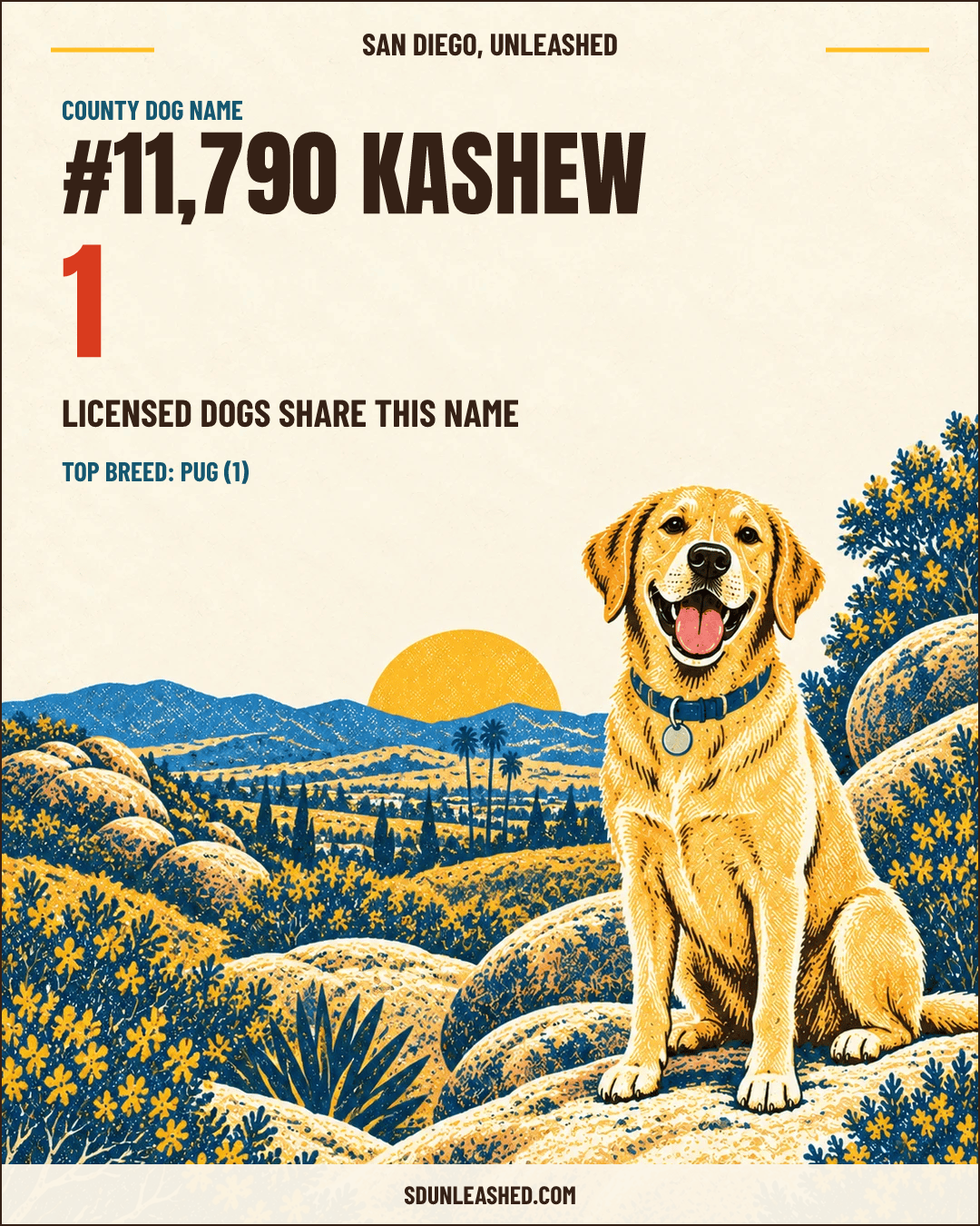 Kashew share card
