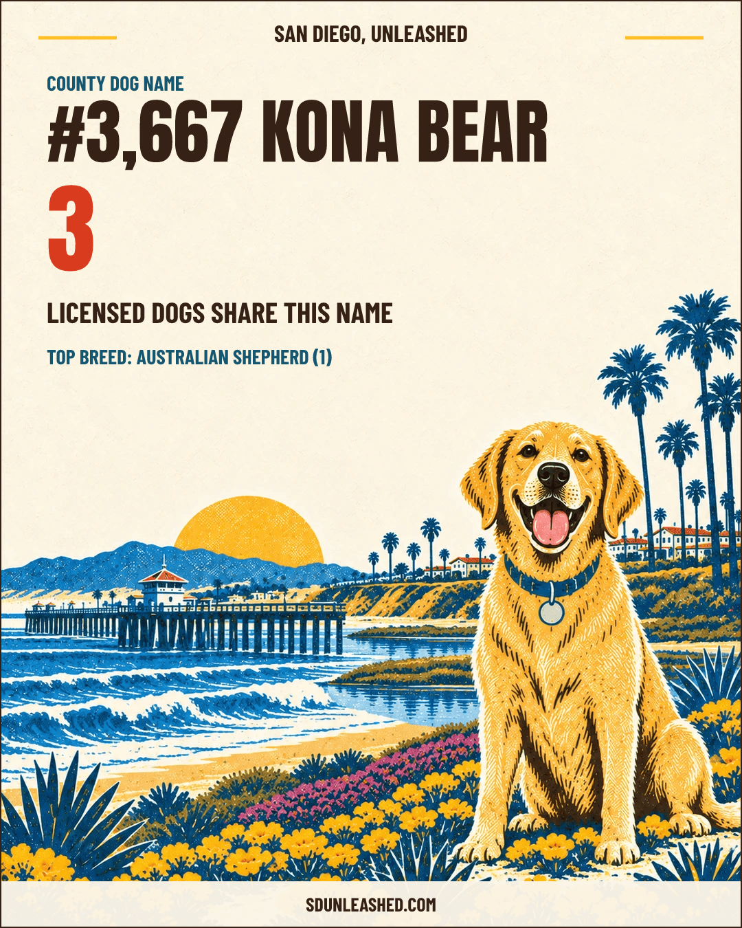 Kona Bear share card