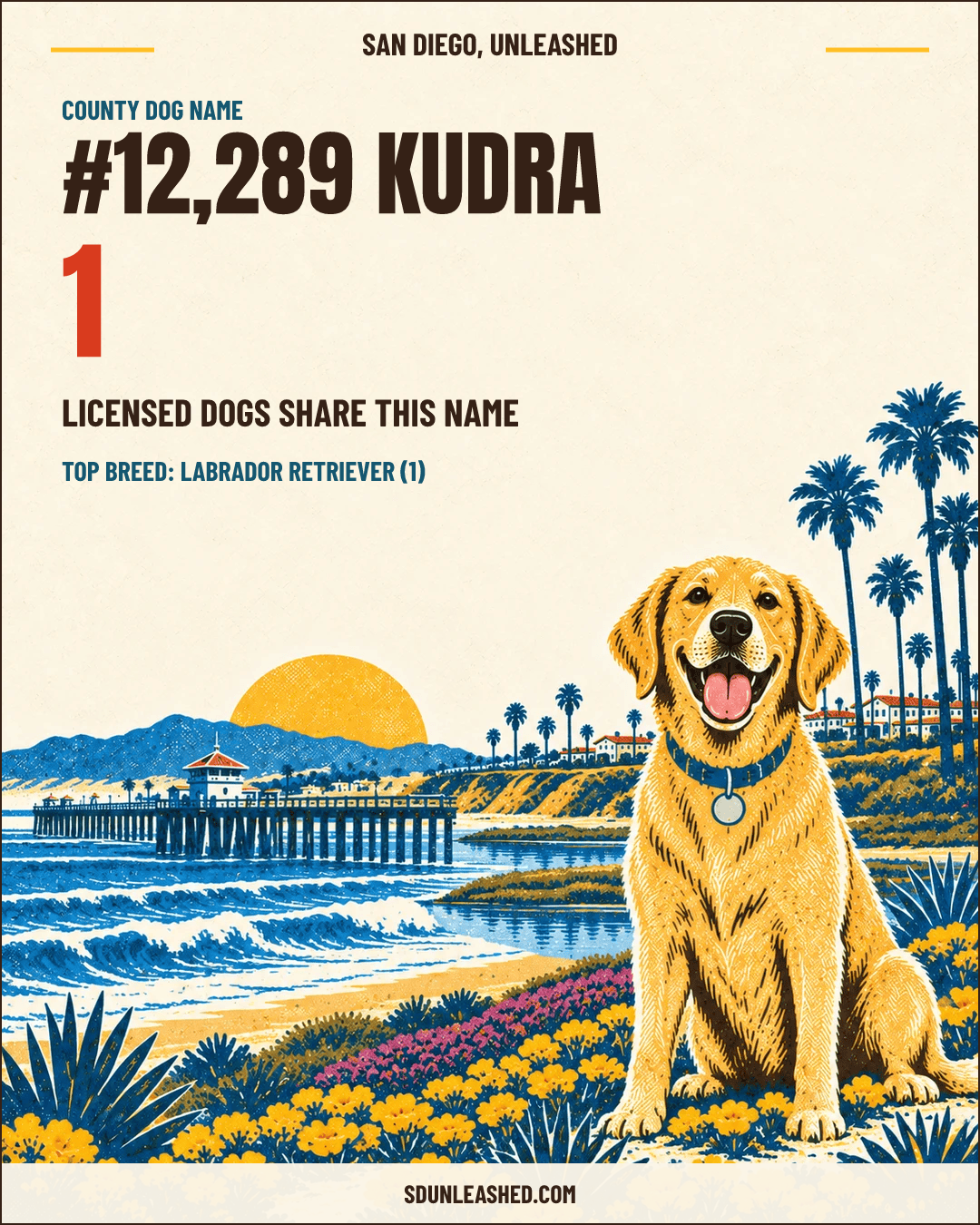 Kudra share card