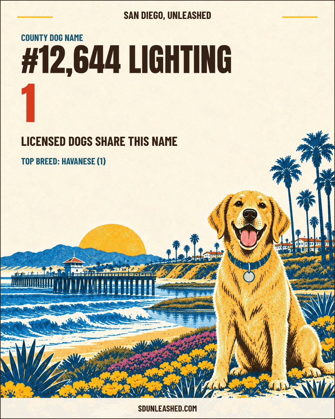 Lighting share card