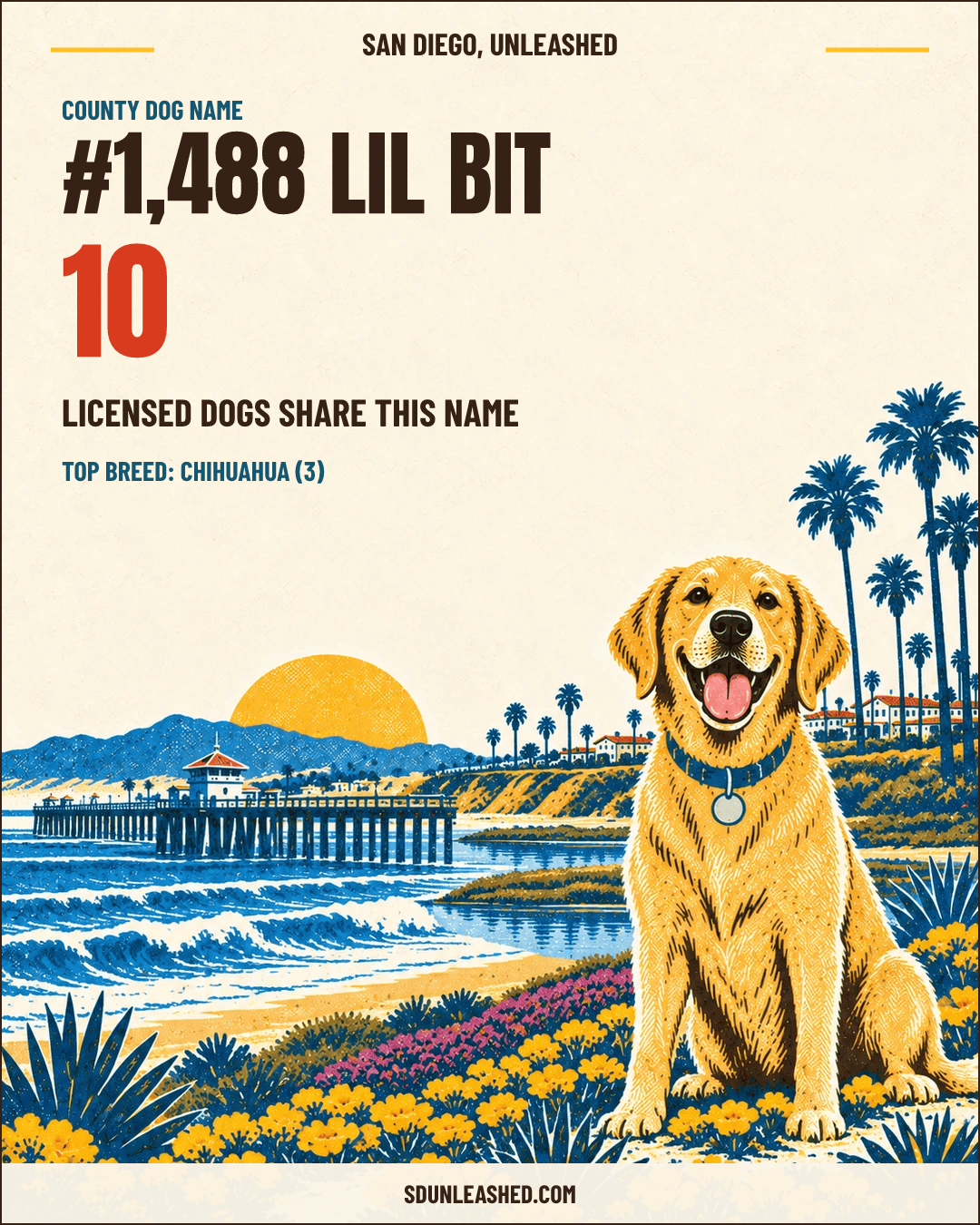 Lil Bit share card