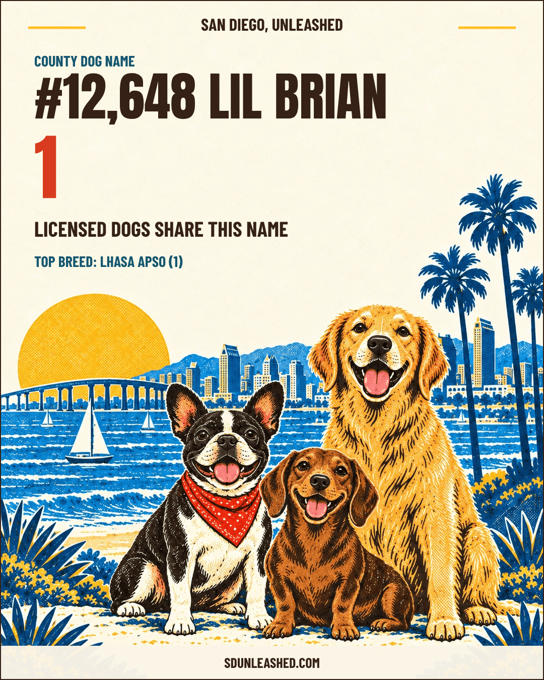 Lil Brian share card