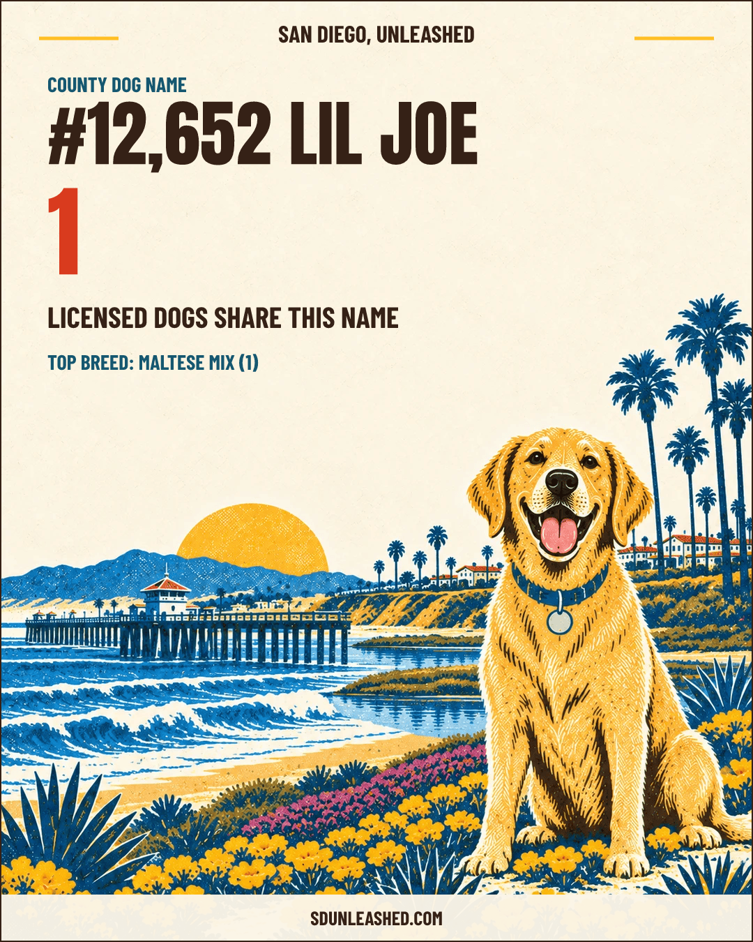 Lil Joe share card