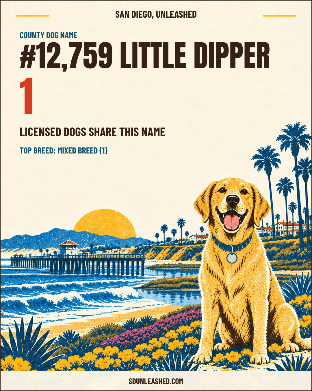 Little Dipper share card