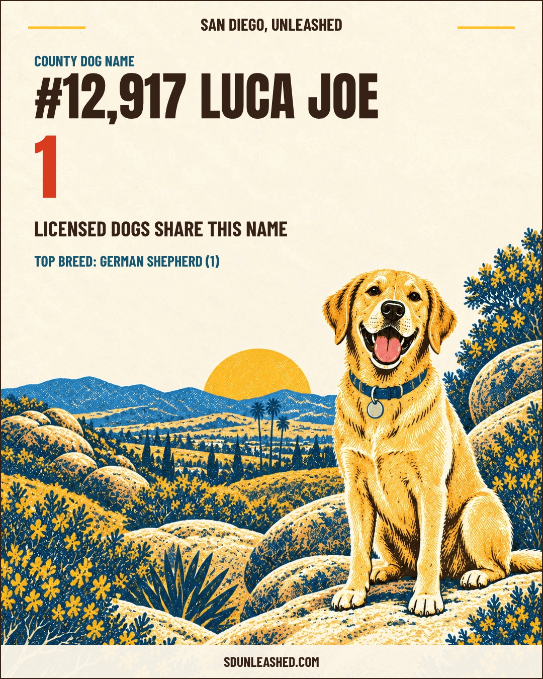 Luca Joe share card
